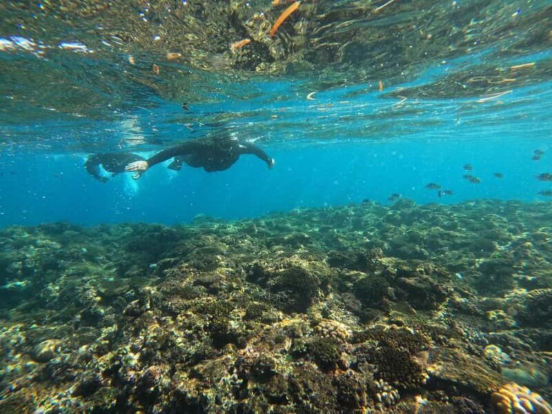 Okinawa: Blue Cave Private Snorkeling Tour with Guide - Key Points