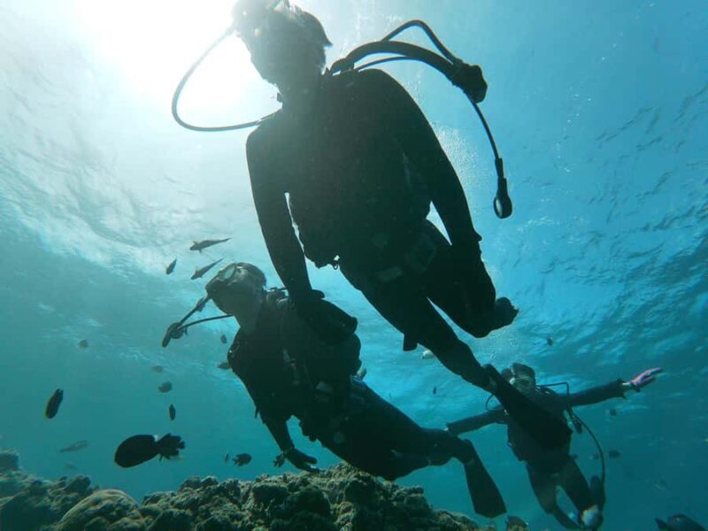 Okinawa BlueCaveIntroDiving in Onna village(free benefits) - Detailed Breakdown of the Itinerary