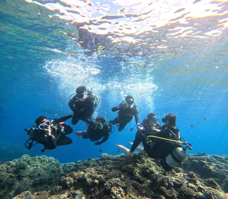 Okinawa BlueCaveIntroDiving in Onna village(free benefits) - Authentic Review Insights