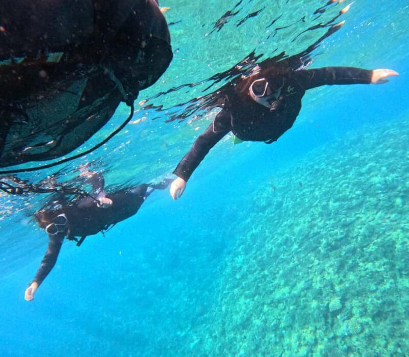 Okinawa BlueCaveSnorkeling in Onna village (free benefits) - Authentic Insights from Reviews