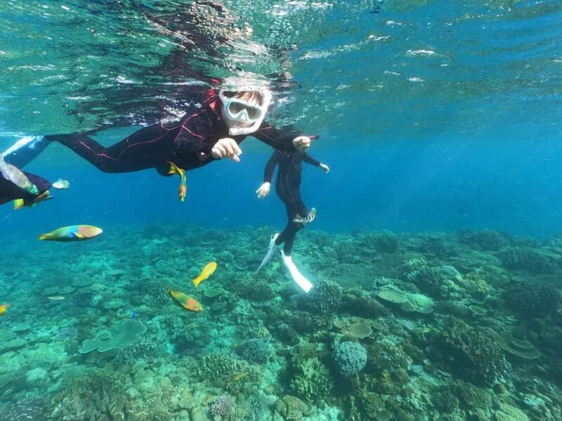 Okinawa: Boat Snorkeling at Minna, Sesoko or Motobu - Introduction