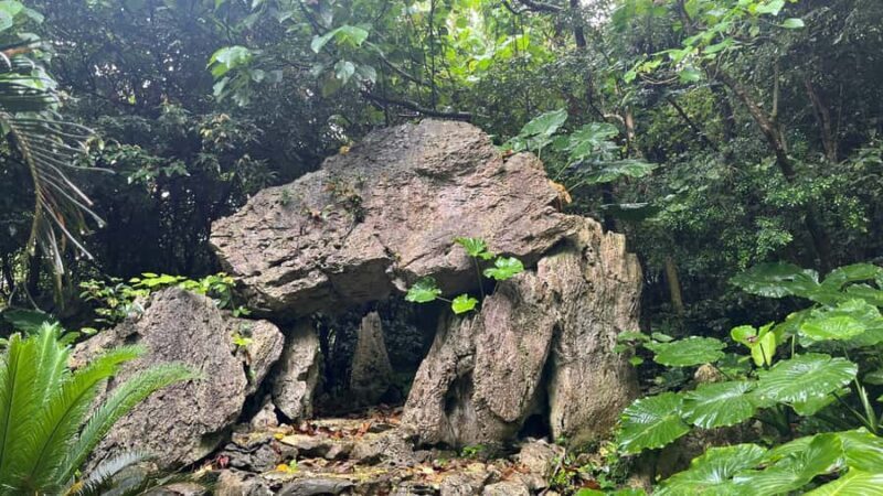 Okinawa: Bus Tour to Yanbaru National Park and Kouri Island - Visiting Cape Hedo and Kouri Island