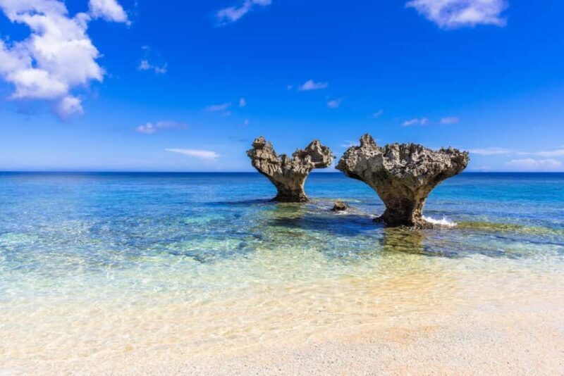 Okinawa: Churaumi Aquarium, Manzamo, Kouri Island Tour - Who is this tour best suited for?