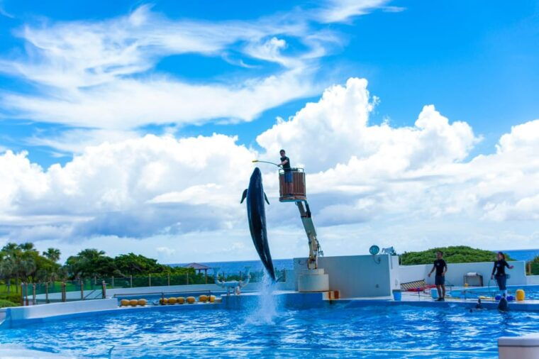 okinawa-churaumi-aquarium-ryukyu-village-manza-cape-tour