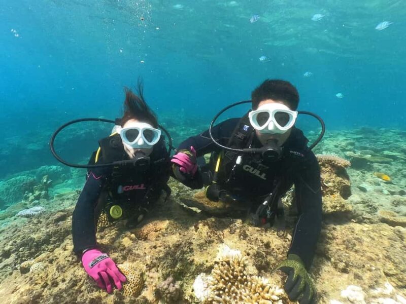 Okinawa: Discover SCUBA Diving at Minna, Sesoko or Motobu - Introduction