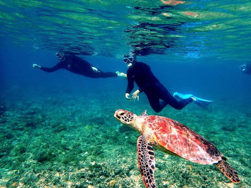 Okinawa: From Naha Full-Day Kerama Islands Snorkeling Tour - Final Thoughts: Is It Worth It?