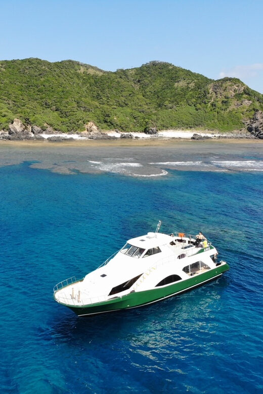 Okinawa: From Naha: Kerama Islands 1-day snorkeling tour - A Closer Look at the Experience