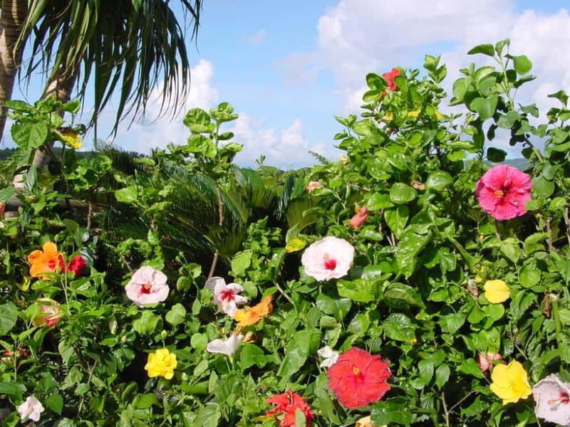 Okinawa: Fruit Land Theme Park Entry Ticket - Key Points