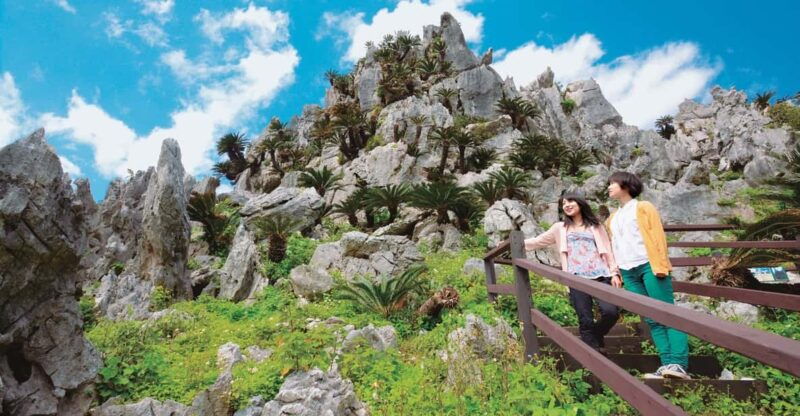 okinawa-full-day-bus-tour-to-yanbaru-national-park