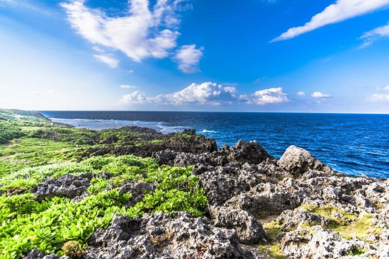 okinawa-full-day-bus-tour-to-yanbaru-national-park