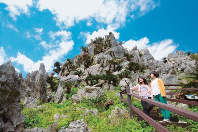 okinawa-full-day-bus-tour-to-yanbaru-national-park