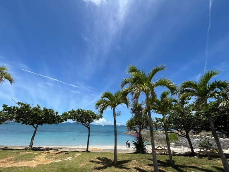 Okinawa: Henza and Hamahiga Islands Guided Bike Tour - The Ride Back: Scenic and Relaxed