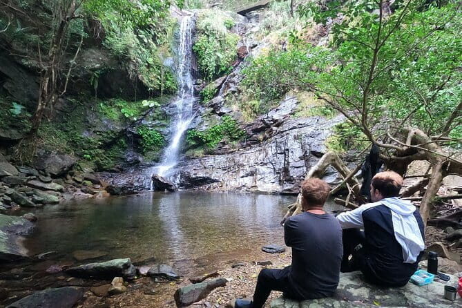 Okinawa Highlight Tour by Private Car - Authentic Insights from Feedback