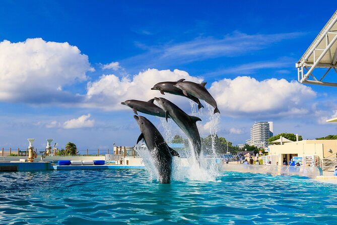 okinawa-hip-hop-bus-b-course-tour-okinawa-churaumi-aquarium