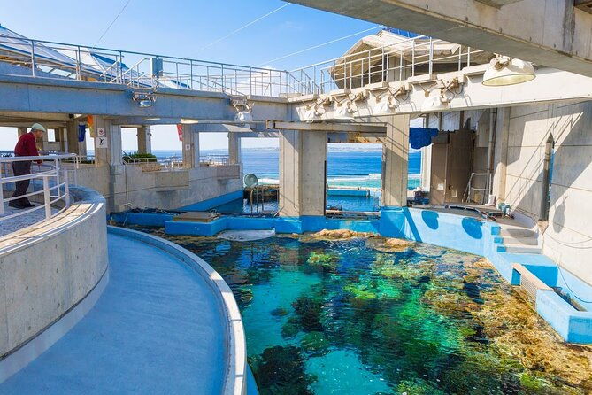 okinawa-hip-hop-bus-b-course-tour-okinawa-churaumi-aquarium