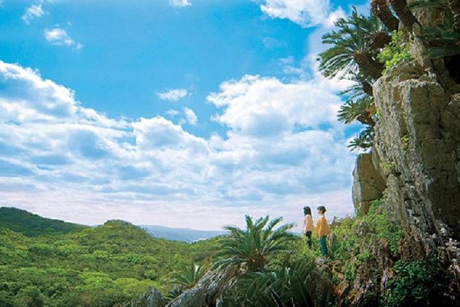 okinawa-hip-hop-bus-c-course-tour-to-northern-island