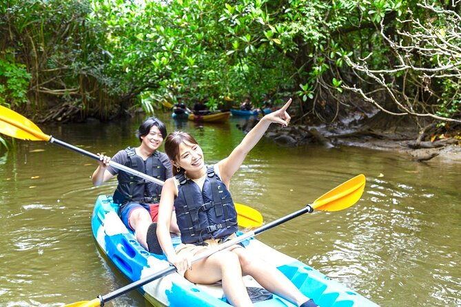 okinawa-iriomote-mangrove-sup-or-canoe-tour