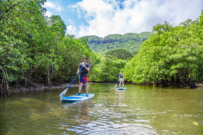okinawa-iriomote-mangrove-sup-or-canoe-tour