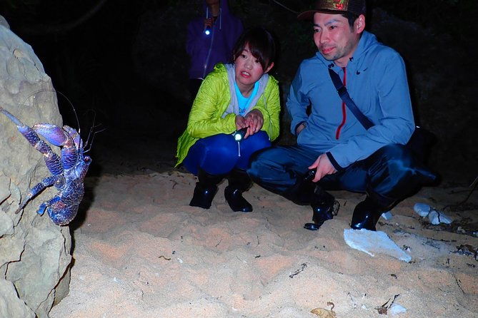 okinawa-iriomote-night-adventure-tour