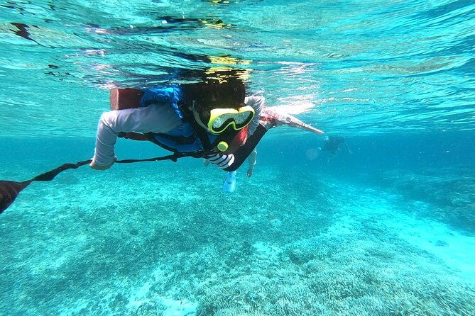 okinawa-iriomote-snorkeling-tour-at-coral-island