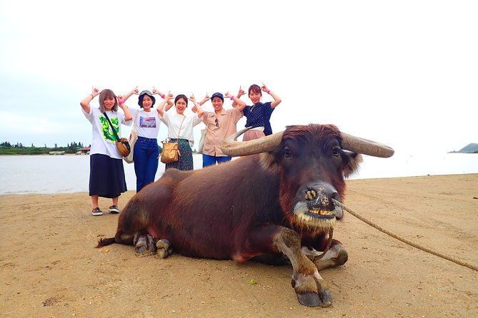 okinawa-iriomote-sup-or-canoe-and-sightseeing-in-yubujima-island