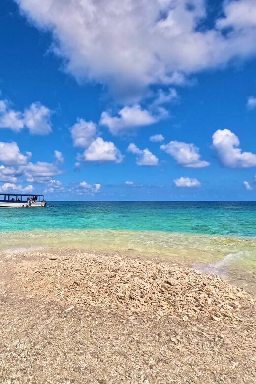 Okinawa Iriomotejima Night Adventure Tour - Who Should Consider This Tour?