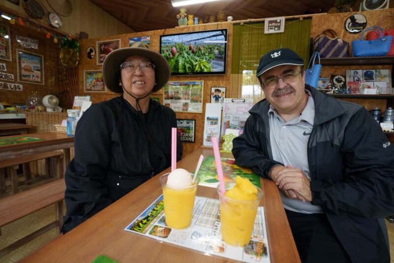 Okinawa Ishigaki Island Private Tour - Pricing & Value