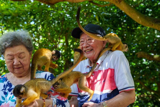 okinawa-ishigaki-island-private-tour