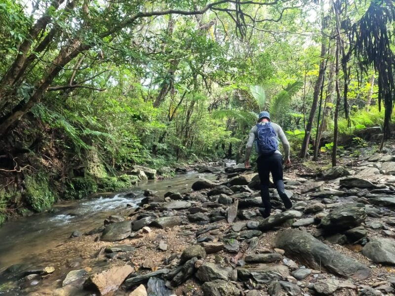okinawa-jungle-river-trek-private-tour-in-yanbaru