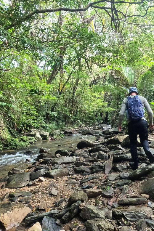 okinawa-jungle-river-trek-private-tour-in-yanbaru