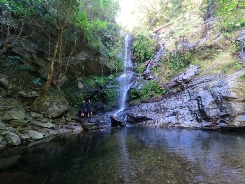 okinawa-jungle-river-trek-private-tour-in-yanbaru