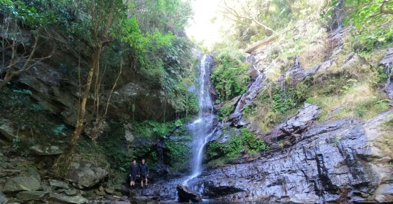 okinawa-jungle-river-trek-private-tour-in-yanbaru