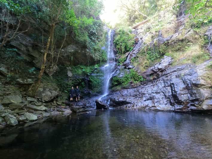 okinawa-jungle-river-trek-private-tour-in-yanbaru