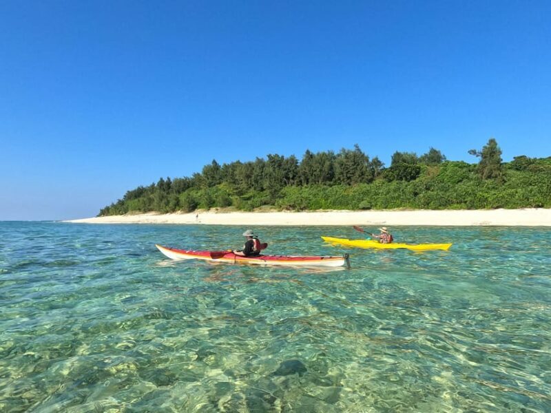 Okinawa: Kayak Mangroves & Ocean Native-English Private Tour - Why You’ll Love This Kayak Tour in Okinawa  
