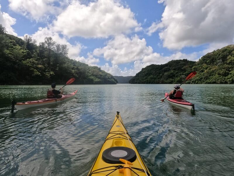 Okinawa: Kayak Mangroves & Ocean Native-English Private Tour - Practicalities and What to Know Before Booking  