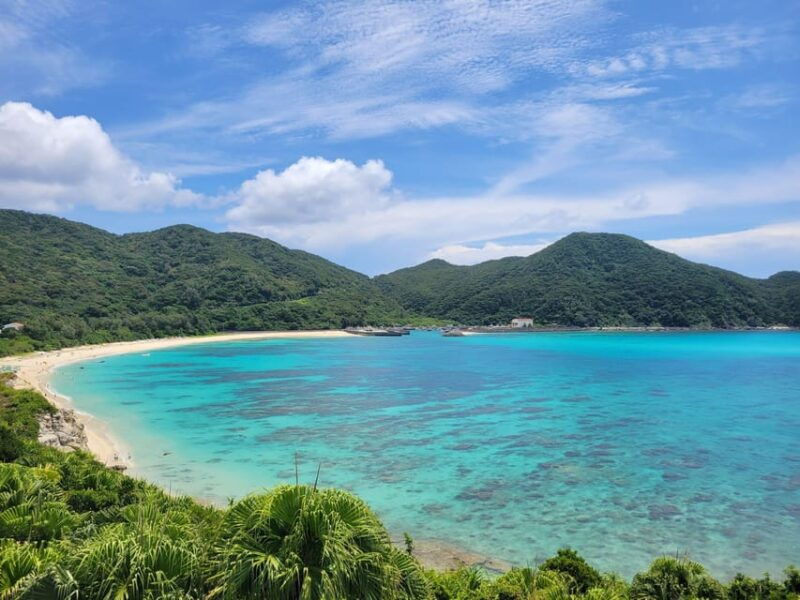 okinawa-kerama-tokashiki-island-and-whale-watching-tour
