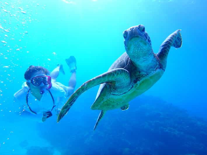 okinawa-kerama-whole-day-snorkeling-tour-from-chatan