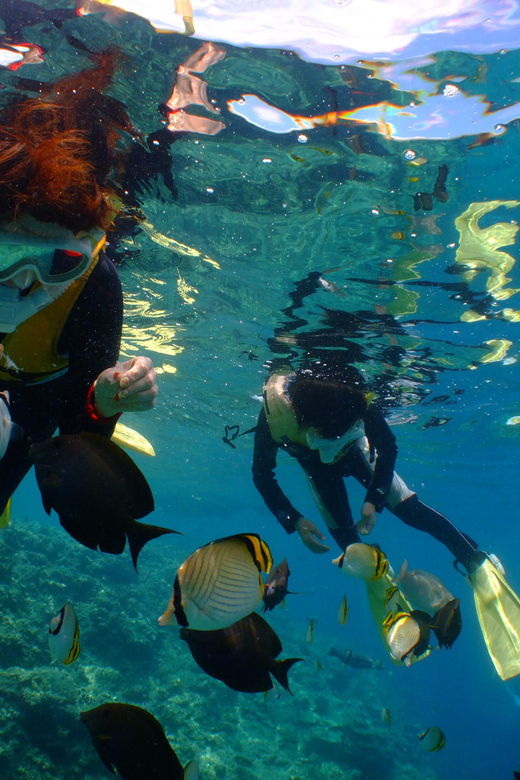 okinawa-kerama-whole-day-snorkeling-tour-from-chatan
