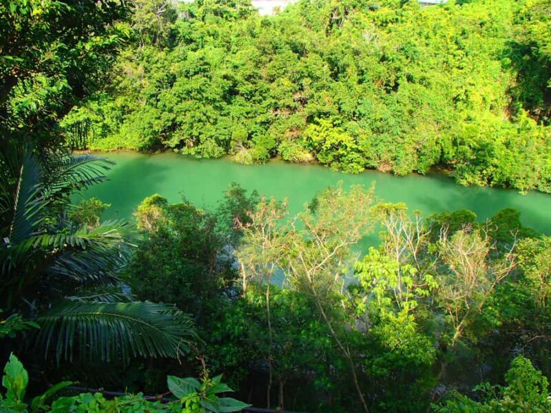 Okinawa: Mangrove Kayak Tour with Guide - An In-Depth Look at the Experience