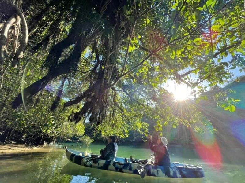 Okinawa: Mangrove Kayaking and Fishing Tour with Photos - Key Points
