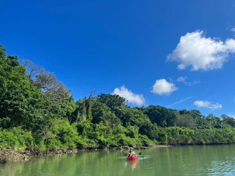 Okinawa: Mangrove Kayaking and Fishing Tour with Photos - An In-Depth Look at the Okinawa Mangrove Kayaking and Fishing Tour