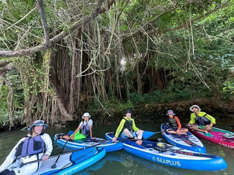Okinawa: Mangrove SUP Tour with Photos - An In-Depth Look at Okinawa’s Mangrove SUP Tour
