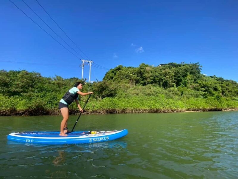 Okinawa: Mangrove SUP Tour with Photos - Who is This Tour Best For?