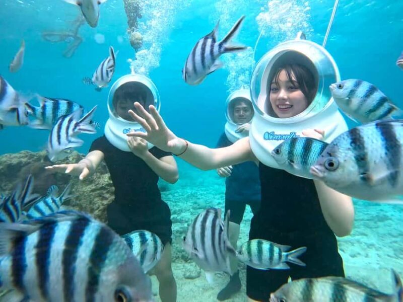 Okinawa MarinSportsSeaWalk in Onna village (free benefits) - Key Points