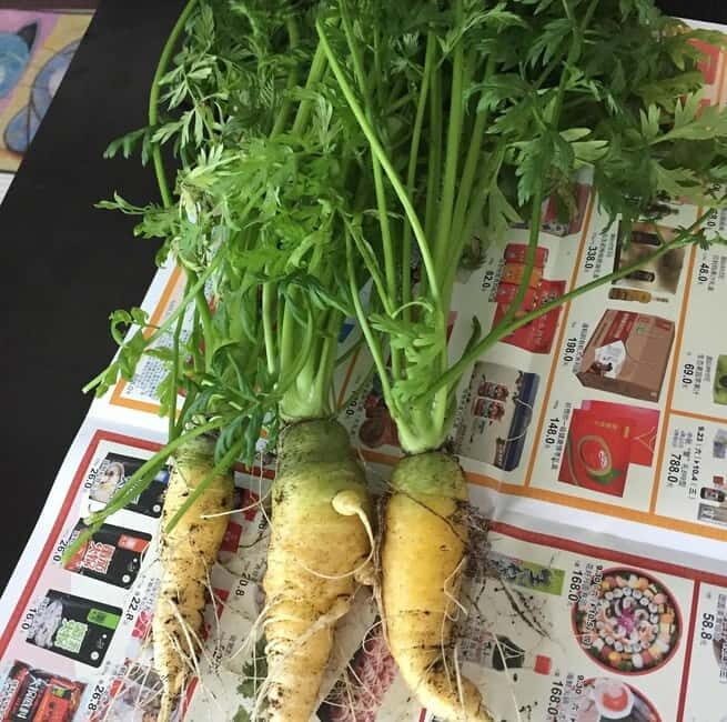 Okinawa: Market Tour and Cooking Class with a Chef - Analyzing the Value: Is It Worth the Price?