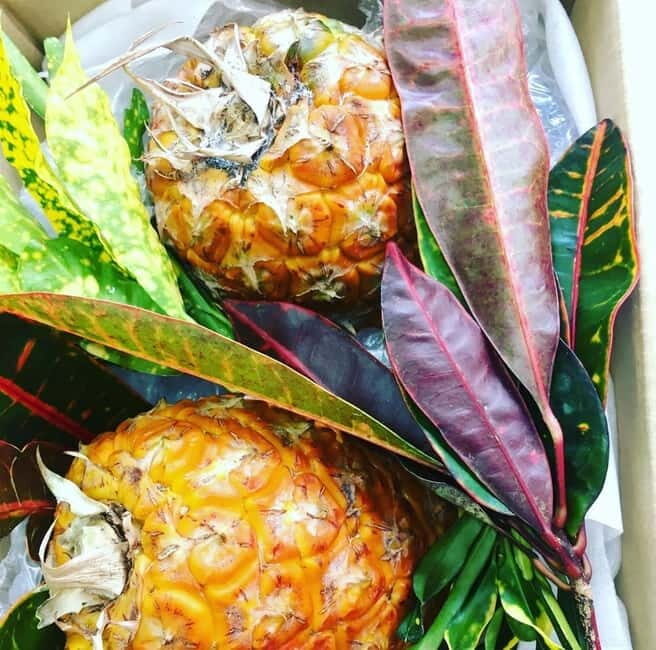 Okinawa: Market Tour and Cooking Class with a Chef - FAQ