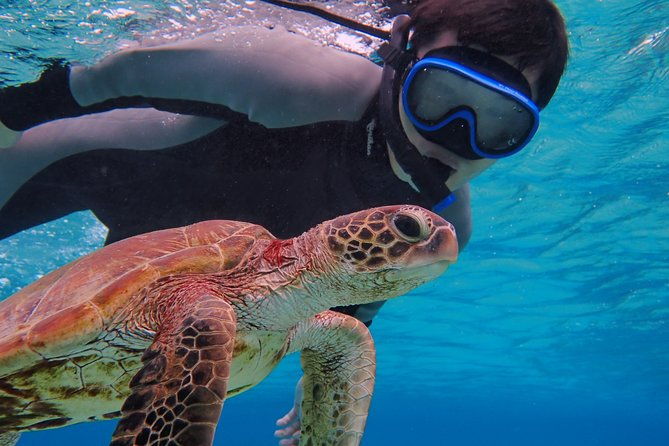 okinawa-miyako-beach-sup-or-canoe-and-sea-turtle-snorkeling
