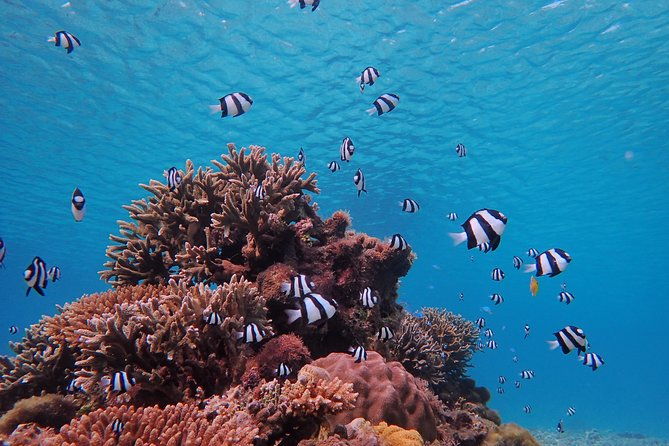 okinawa-miyako-beach-sup-or-canoe-and-sea-turtle-snorkeling