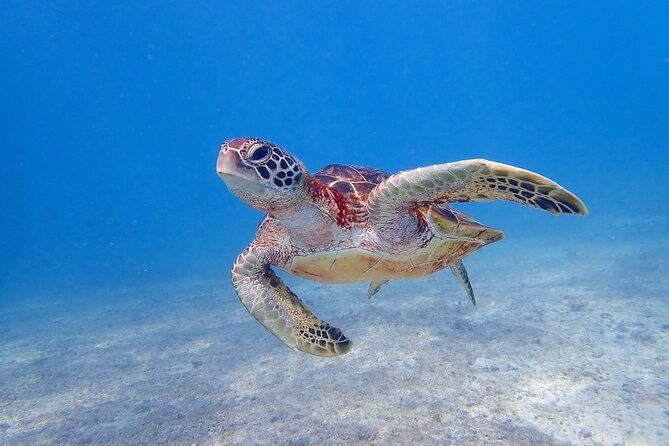 okinawa-miyako-beach-sup-or-canoe-and-tropical-snorkeling