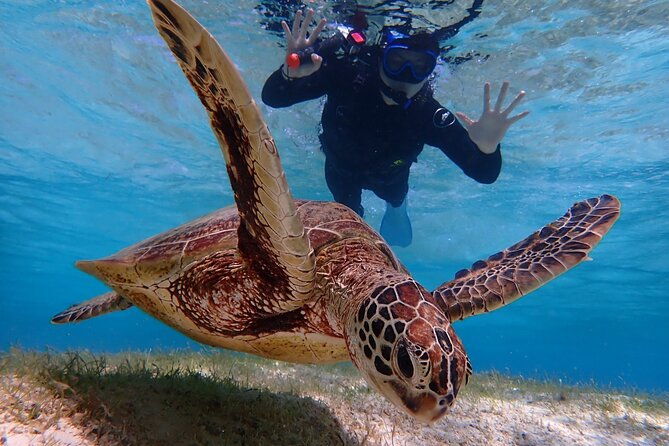 okinawa-miyako-pumpkin-limestone-caving-and-sea-turtle-snorkeling